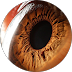 Eyes of World